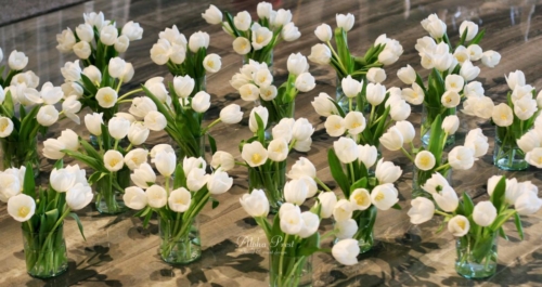 Aranjamente-florale-lalele-zalau-alphaprest